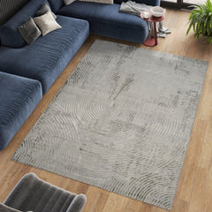 Florence 6181 Area Rug Grey/Vizion