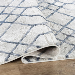 Troy Area Rug 35117 GREY BLUE