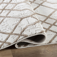 Troy Area Rug 35117 BEIGE BROWN